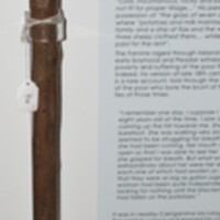 Walking Stick/Cane